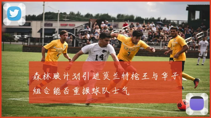森林狼计划引进莫兰特枪王与华子组合能否重振球队士气