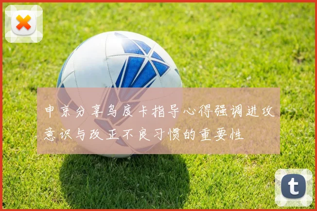 申京分享乌度卡指导心得强调进攻意识与改正不良习惯的重要性