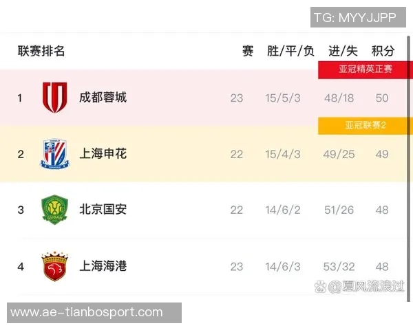 中超联赛进入白热化阶段剩余两轮正倒数球队仅差一分竞争激烈