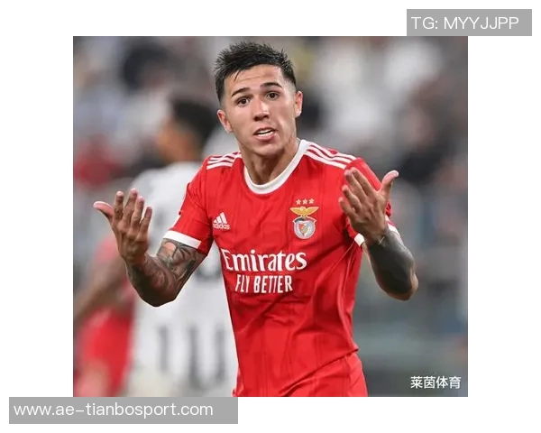 本菲卡计划冬窗出售施耶尔德鲁普目标转会费2500万欧元